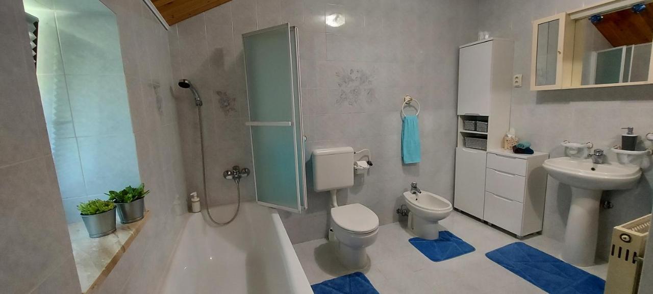 Apartma Pr' Ivani Miskorinovi Breginj Exterior foto